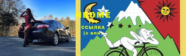 стаф Туринск