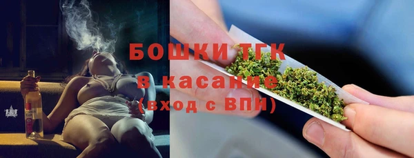 стаф Туринск