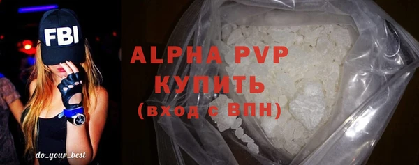 стаф Туринск