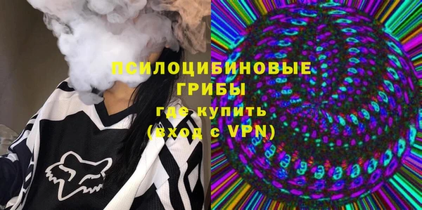 стаф Туринск