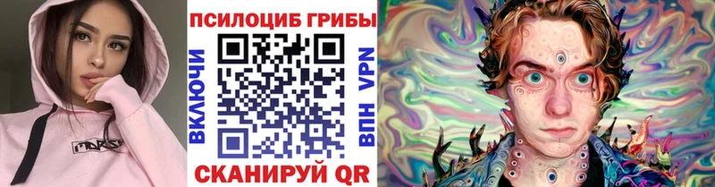 Купить закладки  Долинск  Галлюциногенные грибы Psilocybine cubensis 